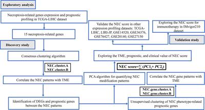 Necroptosis-Related Genes Signatures Identified Molecular Subtypes and Underlying Mechanisms in Hepatocellular Carcinoma